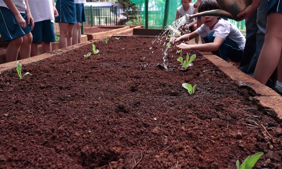 Crianças cuidando da horta da Escola Imaculada